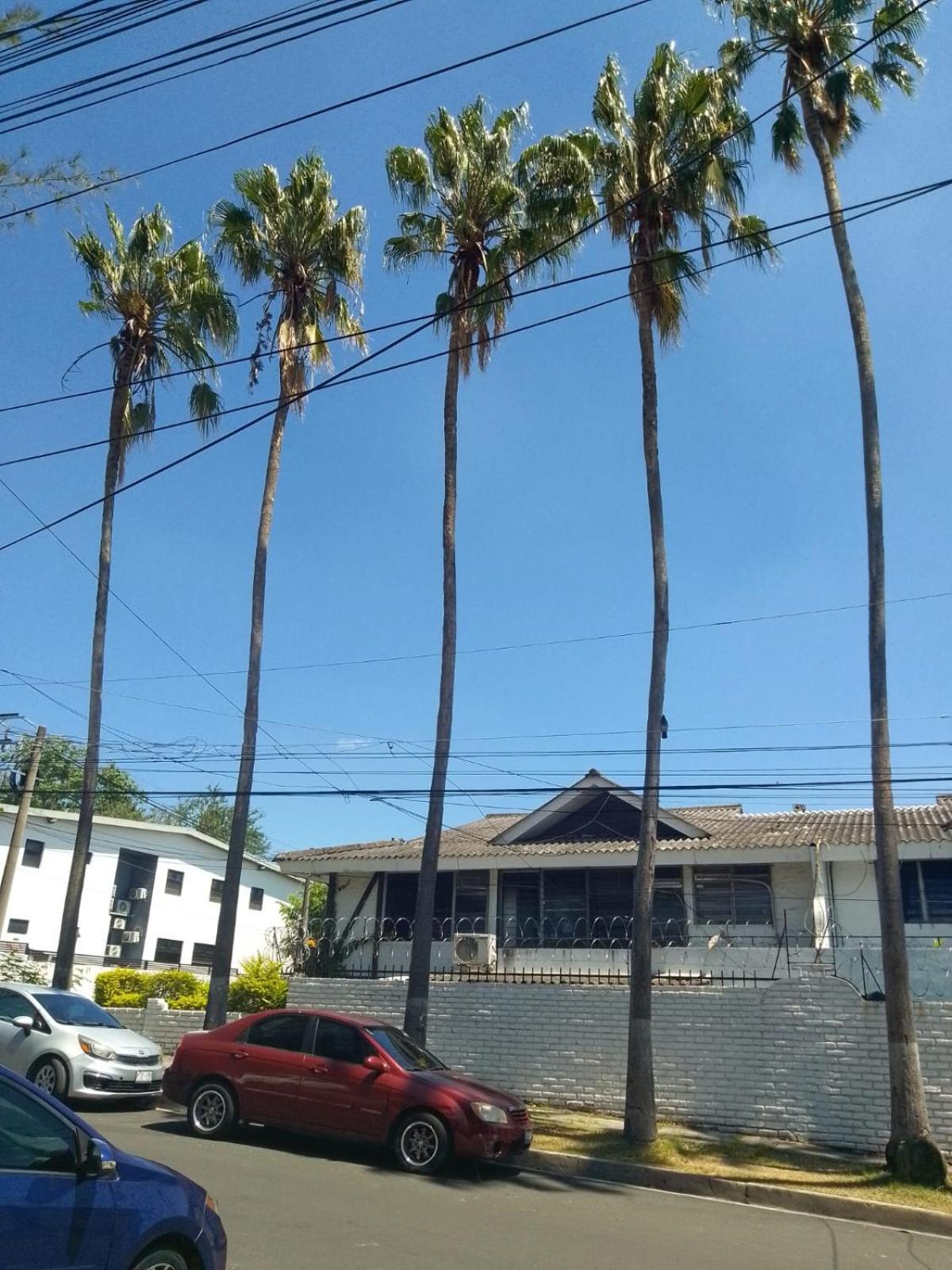 Comfort Home Escalon San Salvador Dış mekan fotoğraf